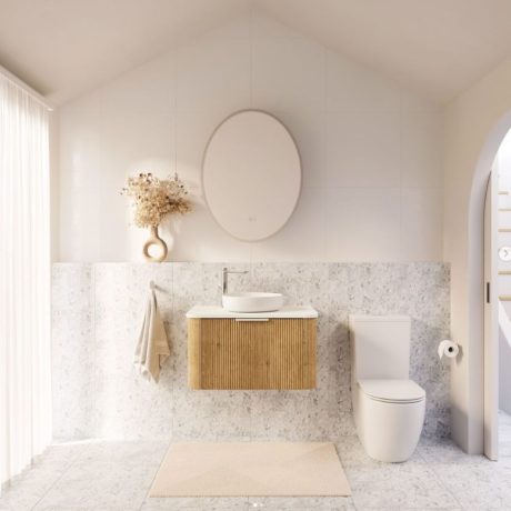 Wall Faced Toilet