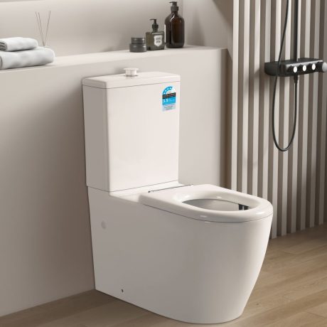 Asta Care Rimless Toilet Suite