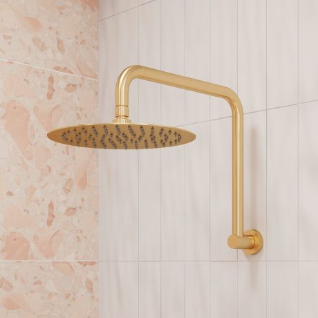 Shower Arm
