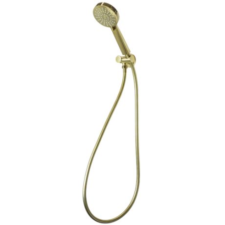 AKEMI Hand Shower with Swivel Bracket, Modern Brass