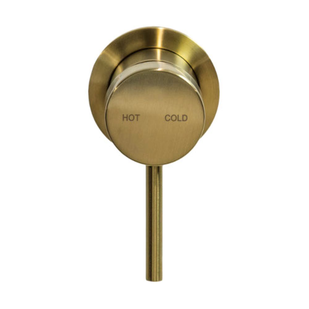 CIOSO Pin Down Shower Mixer, Modern Brass