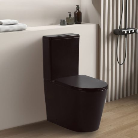 AVIS Rimless Back to Wall Toilet, Matte Black