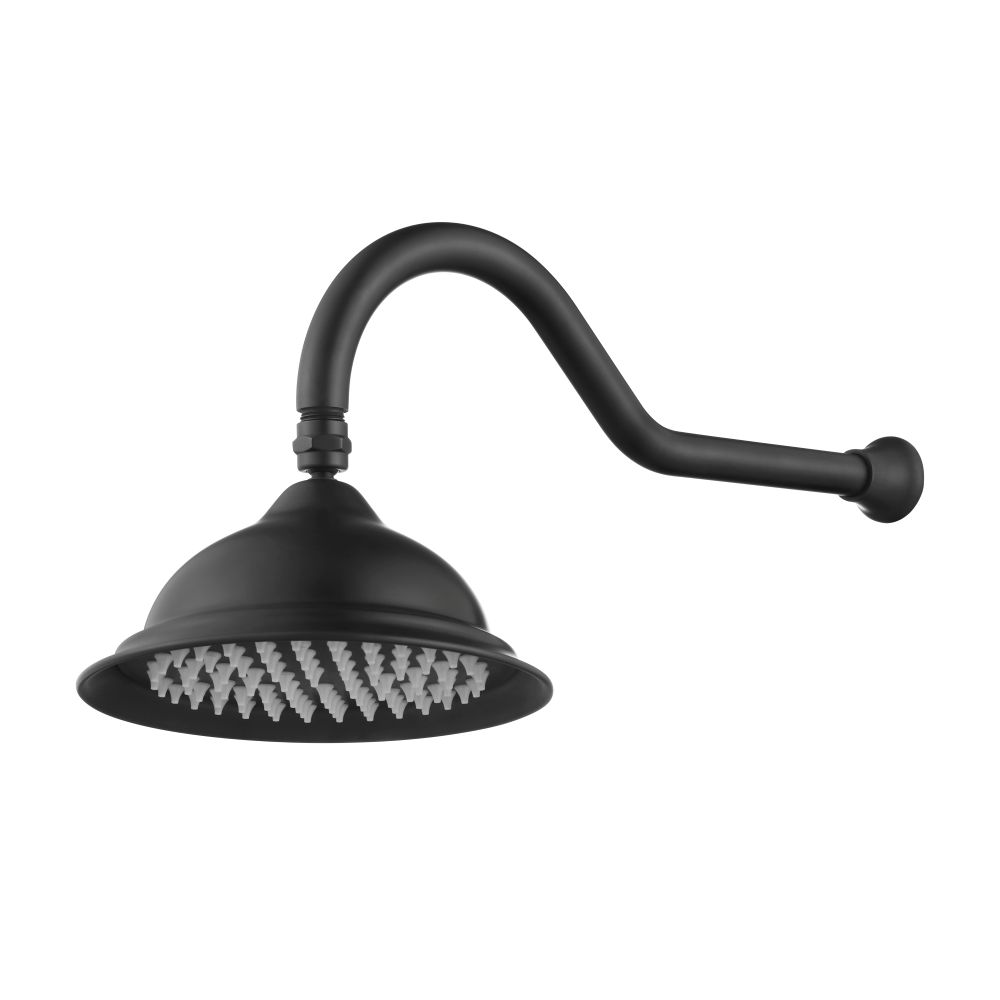 bordeaux shower arm with shower head, electroplated matte black